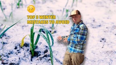 Top Winter Garden Mistakes 🥶 And How To Avoid Them!