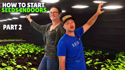 Creating the Ultimate Seed Grow Room Setup: Part 2