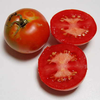 Clare Valley Red Tomato