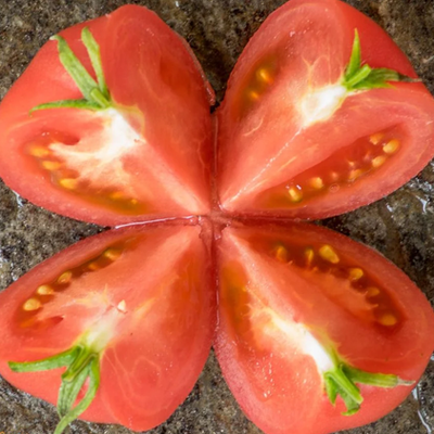 Coorong Pink Tomato