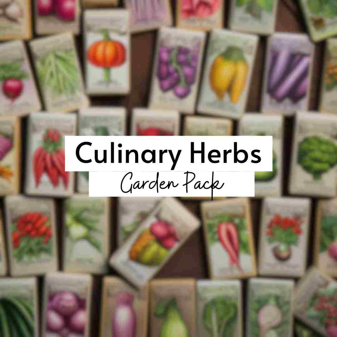 Culinary Herbs Garden Pack