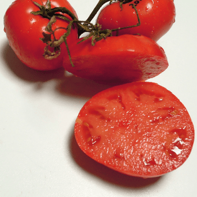 Tanunda Red Tomato