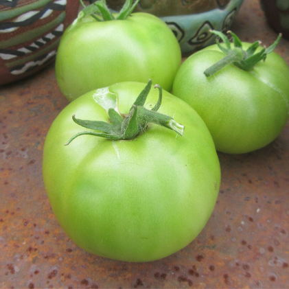 Dwarf Jade Beauty Tomato