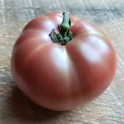 Dwarf Wild Spudleaf Tomato