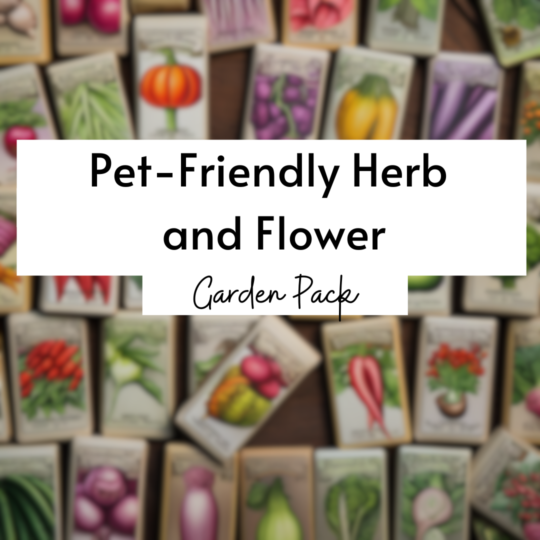 Pet-Friendly Herb and Flower Garden Pack