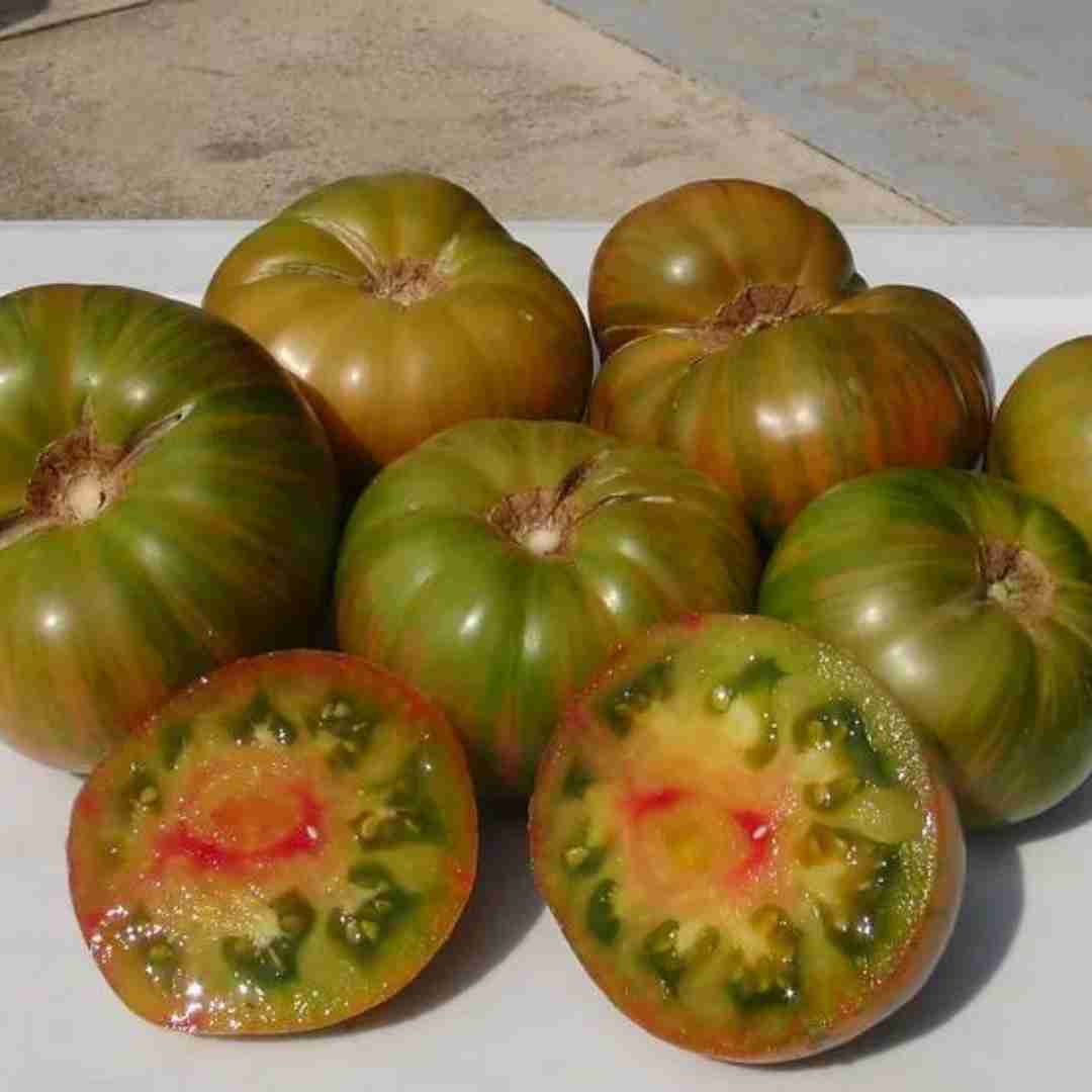 Dwarf Peppermint Stripes Tomato