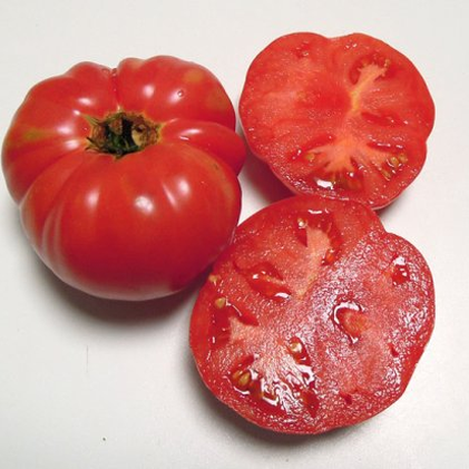 Sweet Adelaide Tomato