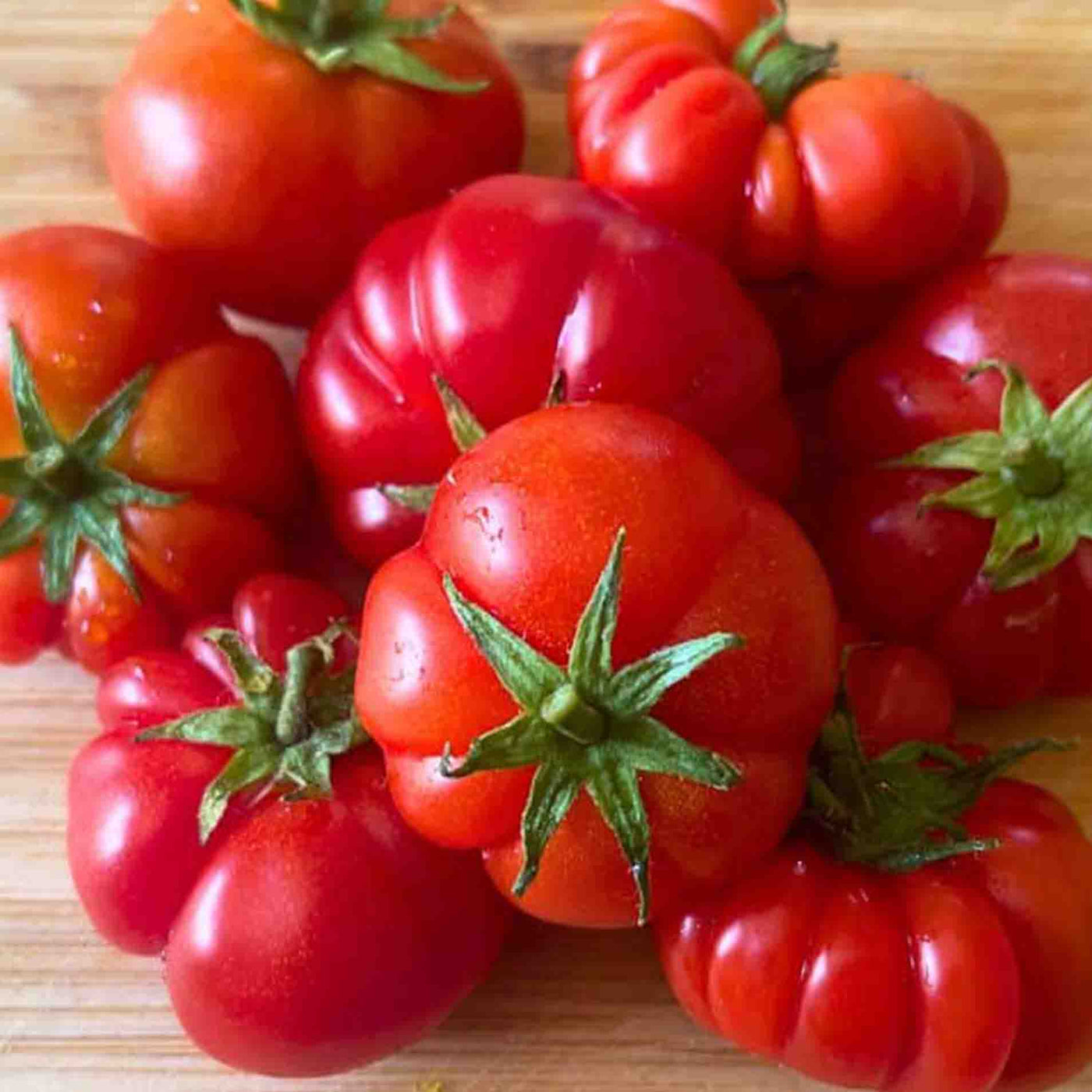 Dwarf Franklin County Tomato