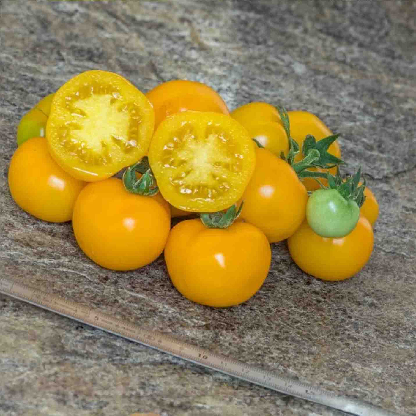 Dwarf Galen's Yellow Tomato