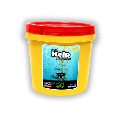 Key to Kelp